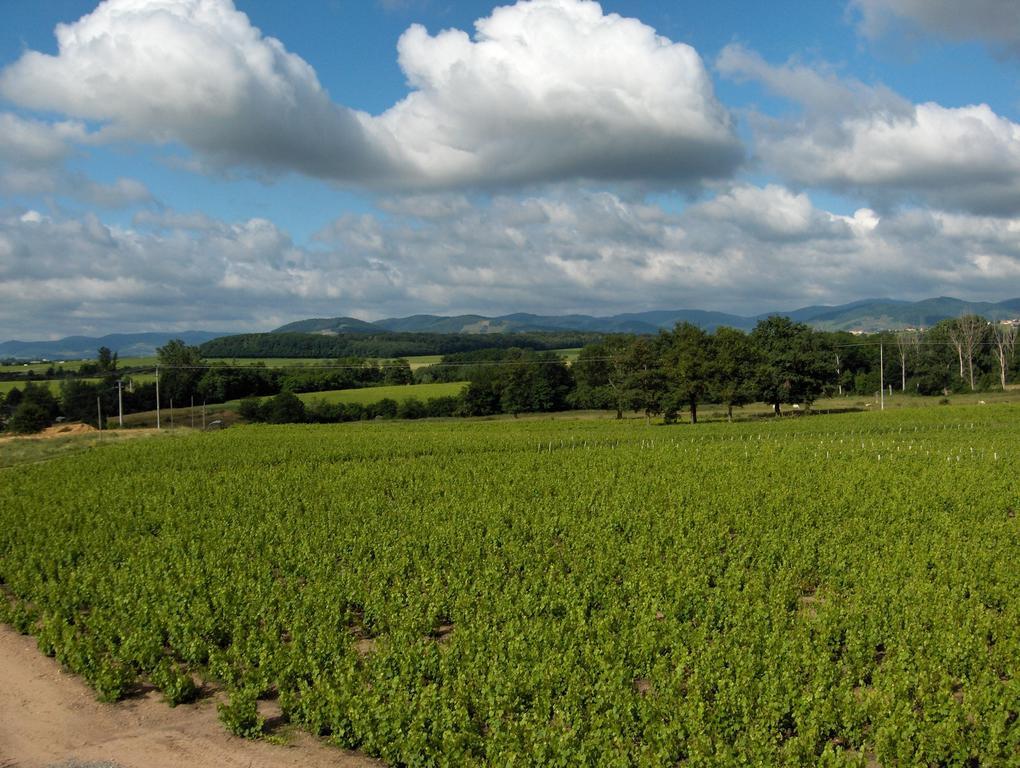 Appartamento Coeur De Beaujolais Corcelles-en-Beaujolais Esterno foto